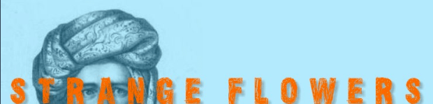 Screen shot 2011-07-25 at 2.19.49 PM