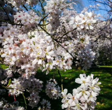 Photo Mar 15, 8 11 16 AM