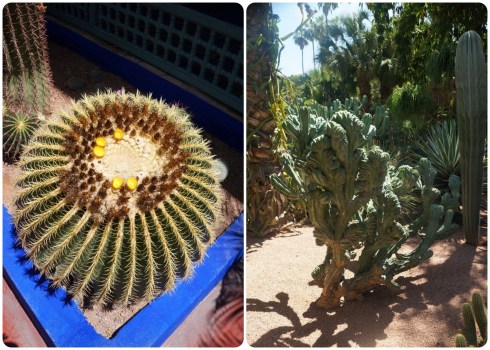 d936e8bd30d34bbd9c865f3ce9ce16ec (2)