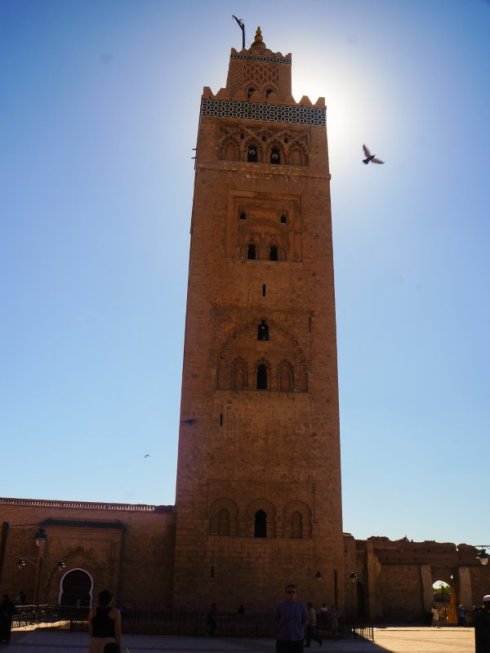 Photo Apr 29, 8 49 35 AM