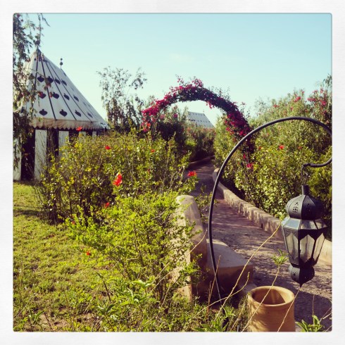 Photo Apr 30, 10 04 47 AM