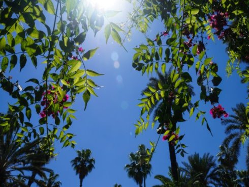 Photo Apr 30, 4 52 33 AM_edited