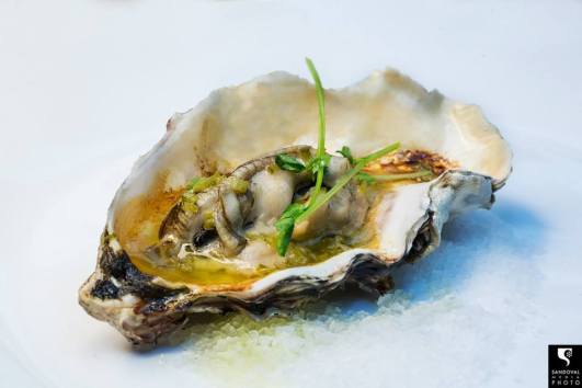 10703734_10152768317564390_7894869227323230948_n